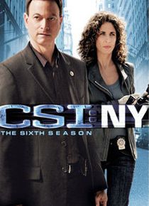 CSI纽约篇第六季