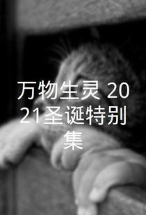 万物生灵：2021圣诞特别集